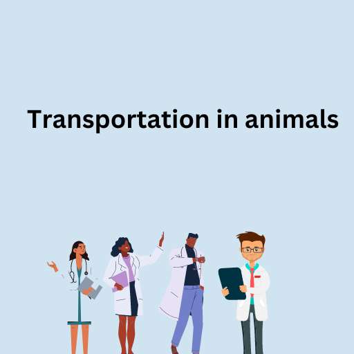 Transportation in animals